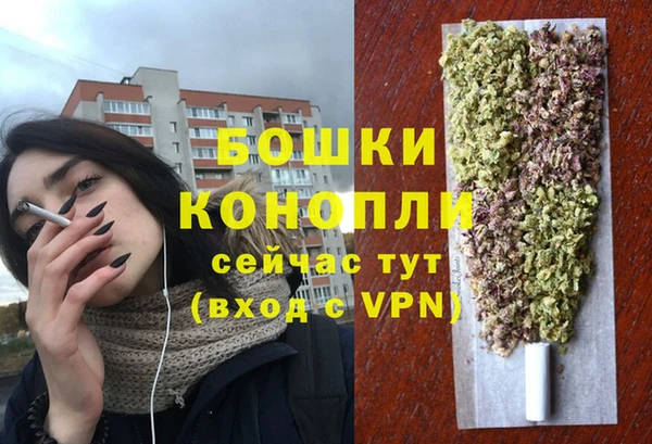 ешки Алзамай
