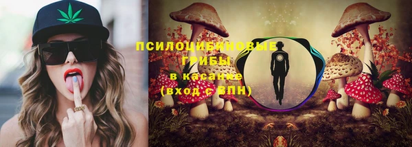 меф Алексин